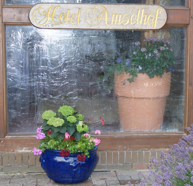 Hotel Amselhof Bispingen Zewnętrze zdjęcie
